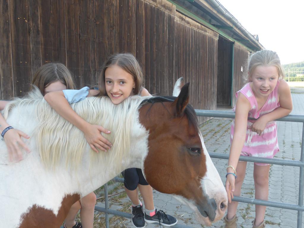 Espi-Stables Ferienhof Esterhammer Liebenau  Exteriör bild