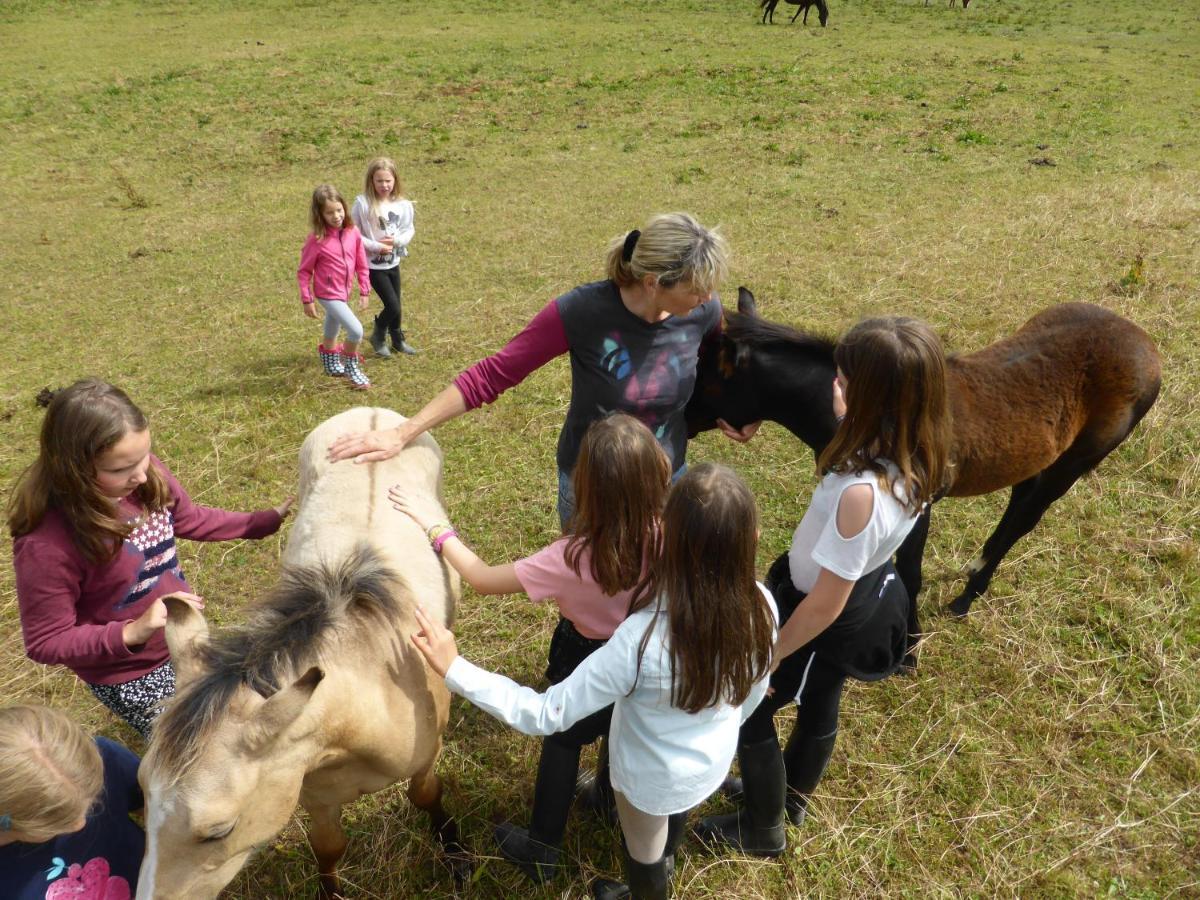 Espi-Stables Ferienhof Esterhammer Liebenau  Exteriör bild